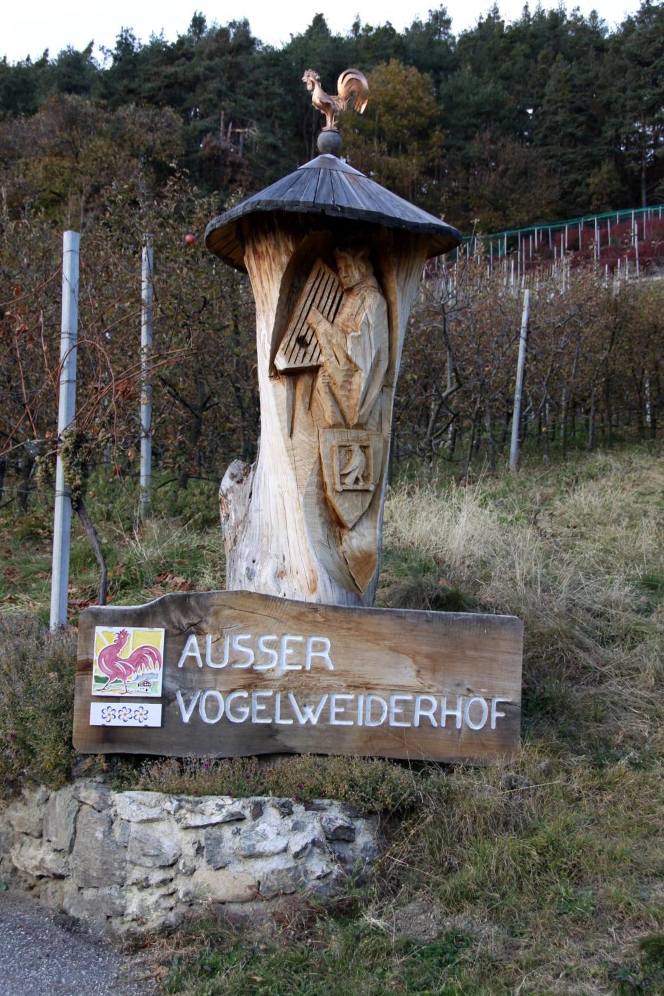 Ausservogelweiderhof Лайон Екстериор снимка