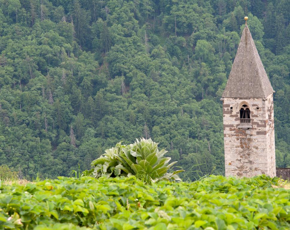 Ausservogelweiderhof Лайон Екстериор снимка